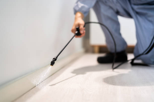 Licensed Pest Control service in Danville, IL - Show Me Pest Control