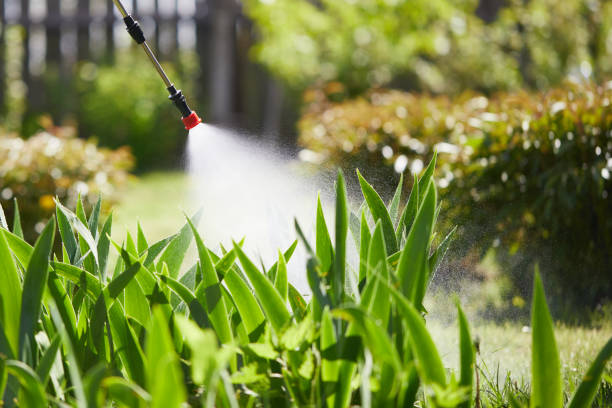 24/7 Emergency Ant Control experts in Danville, IL